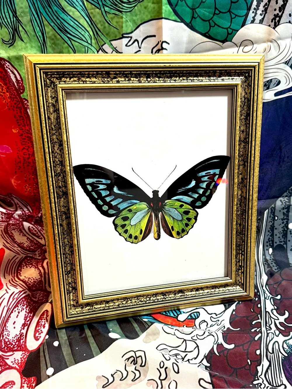 Vintage Style Green Birdwing Butterfly